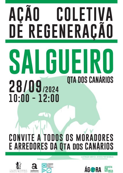 CARTAZ SALGUEIRO