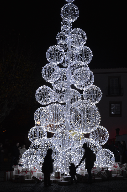Árvore de Natal na Praça de Santa Maria