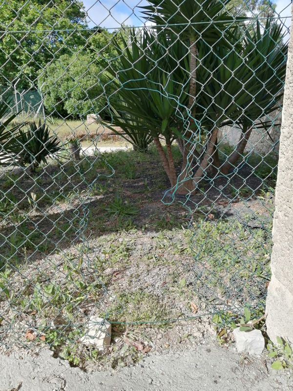 Rede que veda acesso ao Parque D. Carlos I foi cortada