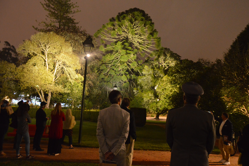 Apresentação de uma composição cénica de luzes nas árvores do parque