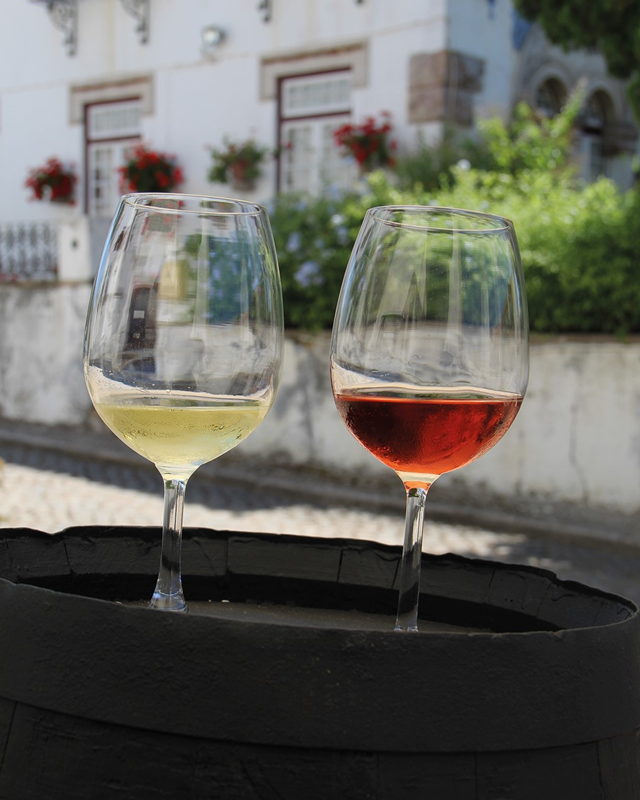 Além de ter sido premiada em dois vinhos e uma aguardente, a Companhia Agrícola do Sanguinhal continua a apostar em novos produtos para completar a sua gama 