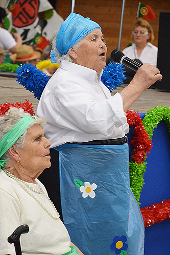 Seniores festejaram santos populares 